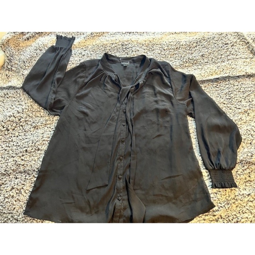 Women's Torrid Size 2 Black Sheer Button Up‎ Blouse